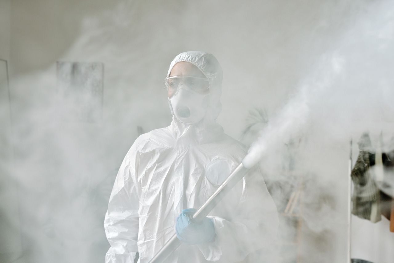 Winter Pest Problems in Lilyfield Warehouses